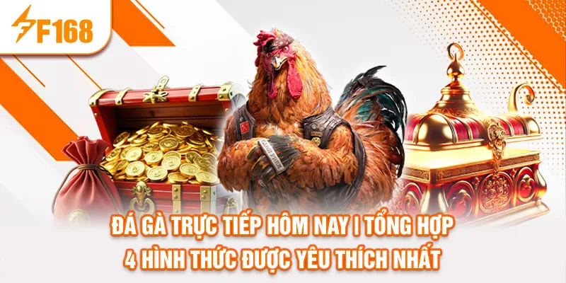 Đá Gà Trực Tiếp Hôm Nay | Tổng Hợp 4 Hình Thức Được Yêu Thích Nhất