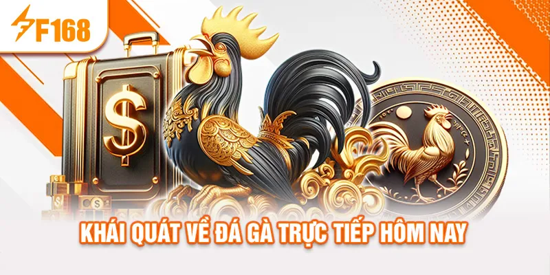 Khái quát về đá gà trực tiếp hôm nay